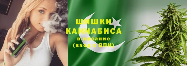 таблы Богородицк