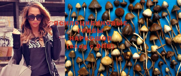 синтетический гашиш Белокуриха