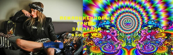 таблы Богородицк