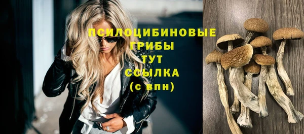 синтетический гашиш Белокуриха
