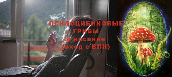 a pvp Богданович
