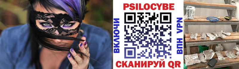 mega как зайти  Няндома  Псилоцибиновые грибы Psilocybe 